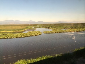 Oregon marshland and mountains